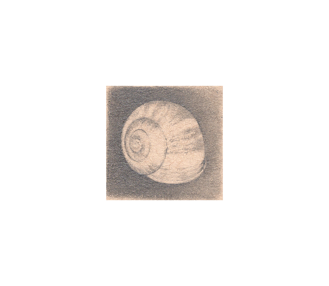 “Snail Shell” - Kristen Etmund